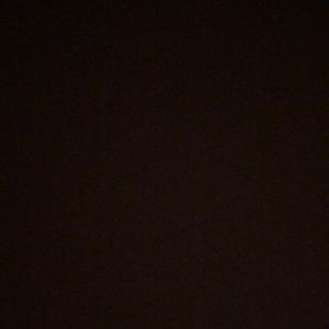 Meet your Posher, Demetrius